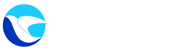 鲸鱼直播